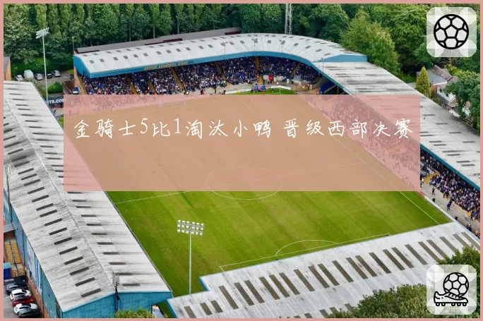 金骑士5比1淘汰小鸭 晋级西部决赛