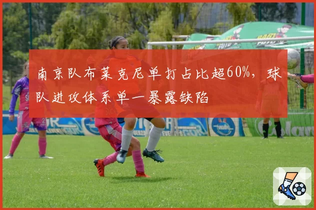 南京队布莱克尼单打占比超60%，球队进攻体系单一暴露缺陷