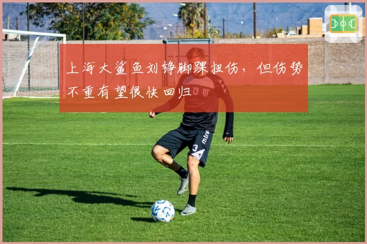 上海大鲨鱼刘铮脚踝扭伤,但伤势不重有望很快回归